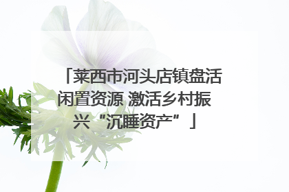 莱西市河头店镇盘活闲置资源 激活乡村振兴“沉睡资产”