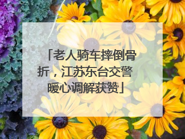 老人骑车摔倒骨折，江苏东台交警暖心调解获赞