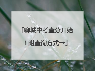 聊城中考查分开始！附查询方式→