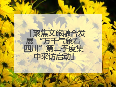 聚焦文旅融合发展 “万千气象看四川”第二季度集中采访启动