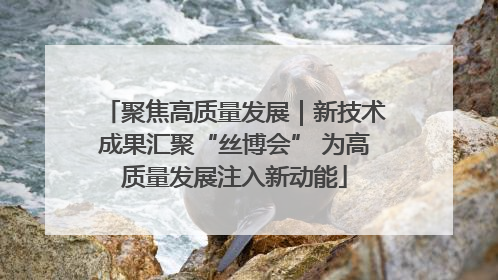 聚焦高质量发展｜新技术成果汇聚“丝博会” 为高质量发展注入新动能