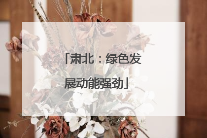 肃北：绿色发展动能强劲