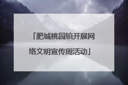 肥城桃园镇开展网络文明宣传周活动