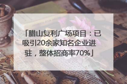 腊山复利广场项目：已吸引20余家知名企业进驻，整体招商率70%