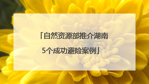 自然资源部推介湖南5个成功避险案例