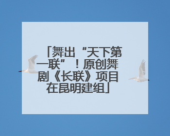 舞出“天下第一联”！原创舞剧《长联》项目在昆明建组