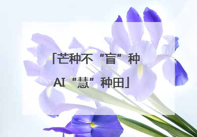 芒种不“盲”种 AI“慧”种田
