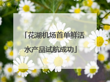 花湖机场首单鲜活水产品试航成功