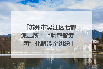 苏州市吴江区七都派出所：“调解智囊团”化解涉企纠纷