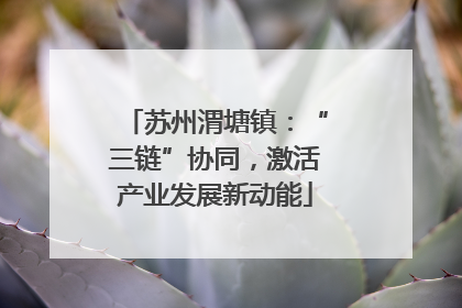 苏州渭塘镇：“三链”协同，激活产业发展新动能