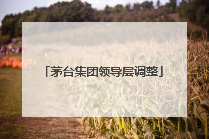 茅台集团领导层调整