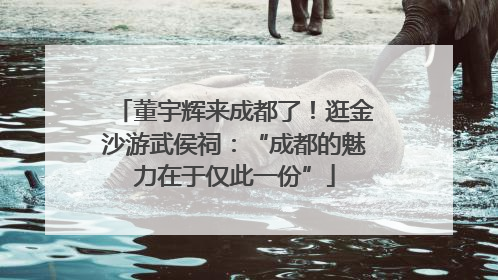 董宇辉来成都了！逛金沙游武侯祠：“成都的魅力在于仅此一份”