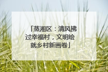 蒸湘区：清风拂过幸福村，文明绘就乡村新画卷