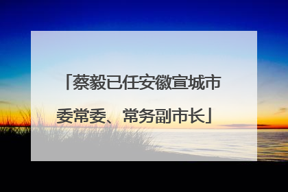 蔡毅已任安徽宣城市委常委、常务副市长
