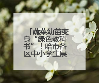 蔬菜幼苗变身“绿色教科书”！哈市各区中小学生展示种植成果