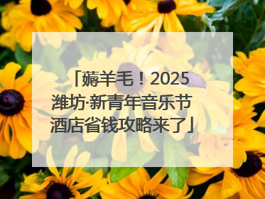 薅羊毛！2025潍坊·新青年音乐节酒店省钱攻略来了