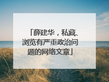 薛建华，私藏、浏览有严重政治问题的网络文章