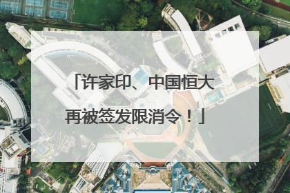 许家印、中国恒大再被签发限消令！