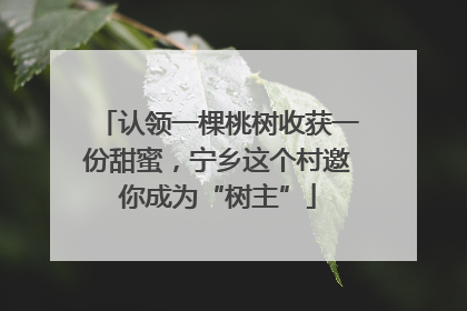 认领一棵桃树收获一份甜蜜，宁乡这个村邀你成为“树主”