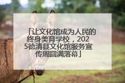 让文化馆成为人民的终身美育学校，2025德清县文化馆服务宣传周圆满落幕