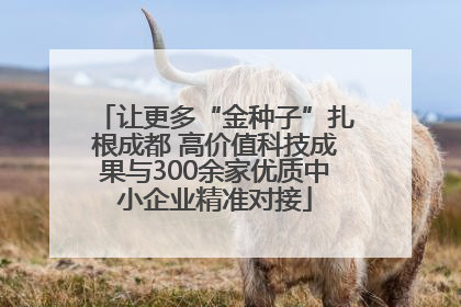 让更多“金种子”扎根成都 高价值科技成果与300余家优质中小企业精准对接