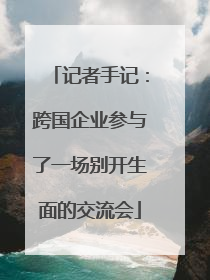 记者手记：跨国企业参与了一场别开生面的交流会