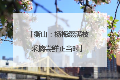衡山：杨梅缀满枝 采摘尝鲜正当时