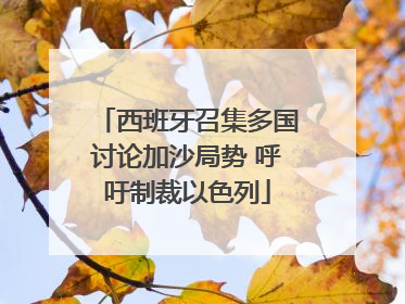 西班牙召集多国讨论加沙局势 呼吁制裁以色列