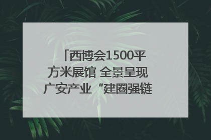 西博会1500平方米展馆 全景呈现广安产业“建圈强链”｜西博视界