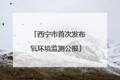 西宁市首次发布氧环境监测公报