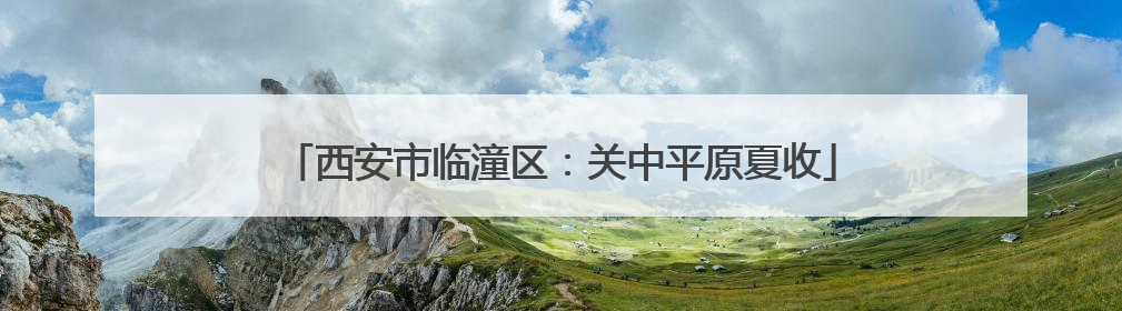 西安市临潼区：关中平原夏收