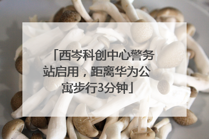 西岑科创中心警务站启用，距离华为公寓步行3分钟