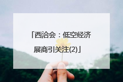 西洽会：低空经济展商引关注(2)