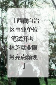 西藏自治区事业单位笔试开考 林芝就业服务亮点频现