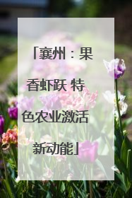 襄州：果香虾跃 特色农业激活新动能