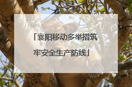 襄阳移动多举措筑牢安全生产防线