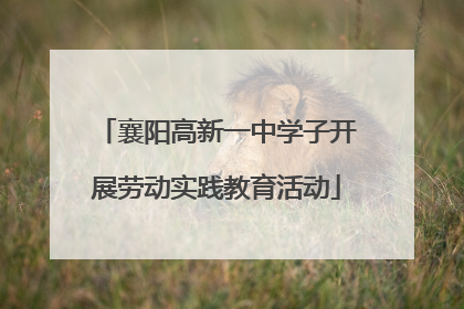 襄阳高新一中学子开展劳动实践教育活动