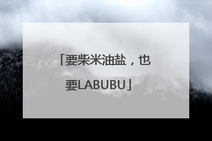 要柴米油盐，也要LABUBU