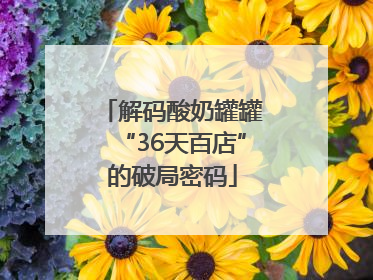 解码酸奶罐罐“36天百店”的破局密码