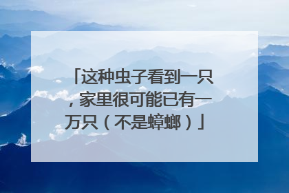 这种虫子看到一只，家里很可能已有一万只（不是蟑螂）