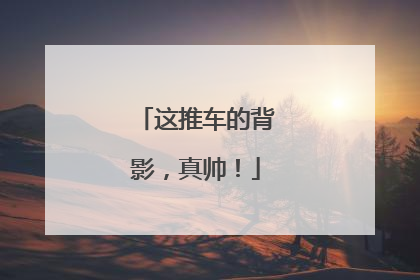 这推车的背影，真帅！