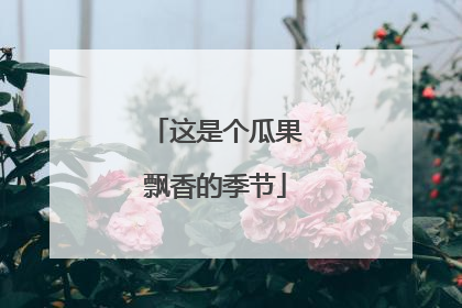 这是个瓜果飘香的季节
