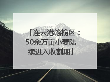 连云港赣榆区：50余万亩小麦陆续进入收割期