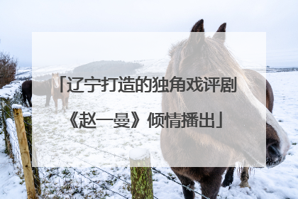 辽宁打造的独角戏评剧《赵一曼》倾情播出