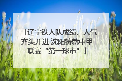 辽宁铁人队成绩、人气齐头并进 沈阳铸就中甲联赛“第一球市”
