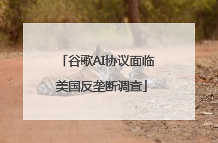 谷歌AI协议面临美国反垄断调查