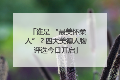 谁是 “最美怀柔人”？四大美德人物评选今日开启