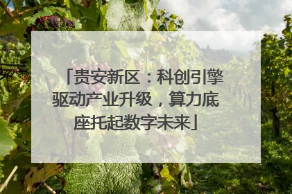 贵安新区：科创引擎驱动产业升级，算力底座托起数字未来