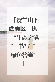 贺兰山下西夏区：执“生态之笔” 书写“绿色答卷”