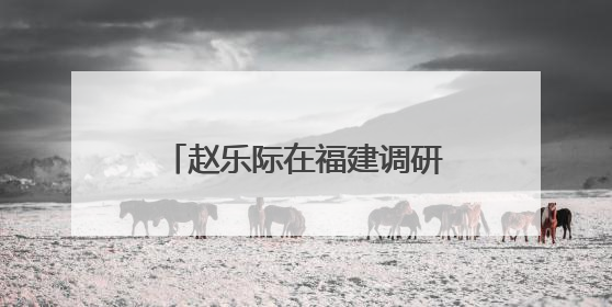 赵乐际在福建调研和开展执法检查时强调 围绕大局 依法履职 为推动高质量发展作出人大贡献